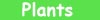 plants page