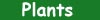assets/blooms_plants_down.jpg