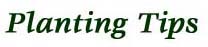 Plantings Tips heading